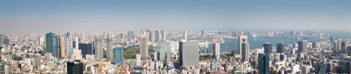 Fototapete - panoramic view to the Tokyo, Japan from air
