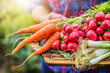 © Milan - Fresh vegetables in woman hands on old wooden cut board. Healthy farmer food concept.