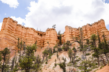 Spectaculaires cheminées de fée ou Hoodoos à Bryce Canyon