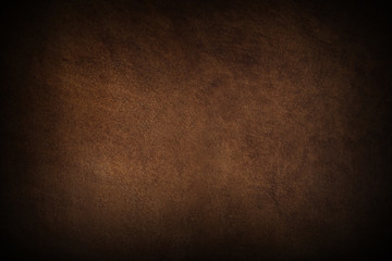 Canvas Print - abstract leather texture may used as background