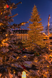 Fototapeta Boho - Denmark - Christmas Tree Through the Trees - Copenhagen