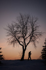 man walking under a lonely tree on a sunset background