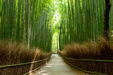 Fototapeta Bambus - 京都　竹林の道
