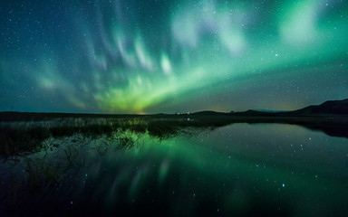 Wall Mural - Aurora Borealis (Northern Lights) above a lake