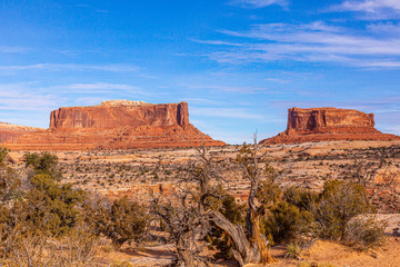 Wall Mural - View on typical rock formations in Conyonlands National Park in Utah in winter