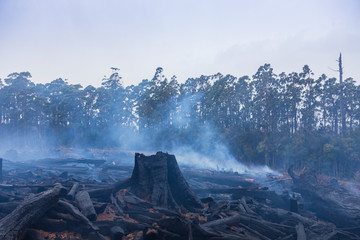 Bushfire smouldering in Australian Outback