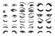 eyelashes vector set collection graphic clipart design
