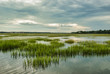Wetlands, Hilton Head Island, South Carolina