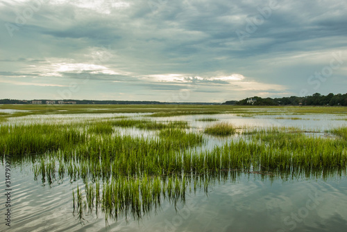 Fotomural Wetlands, Hilton Head Island, South Carolina