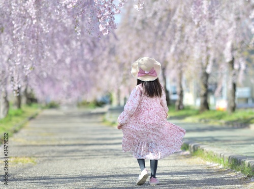 春 桜 女の子 Stock 写真 Adobe Stock