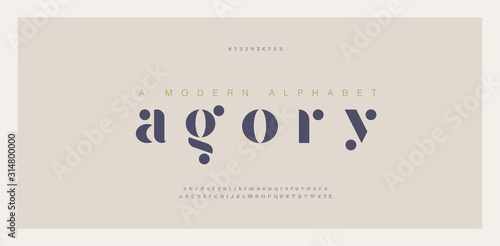 Cuadros en Lienzo Elegant awesome alphabet letters font and number
