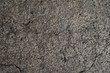 © Nick - Rough concrete ground texture, grey.