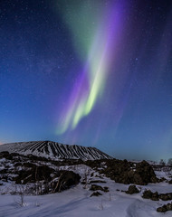 Wall Mural - Northern lights above an arctic landscape 