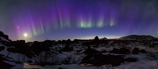 Wall Mural - Northern lights above an arctic landscape 