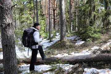 a man is a tourist in a pine forest with a backpack. a hiking trip through the forest. pine reserve 
