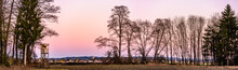 Panorama Landscape With Hunting Tower After Sunset In Rural Scenery Against Pink Sky. Deer Stand Near Zettling Graz In Austria. Hunting Concept