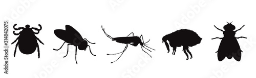 Fotografía Vector silhouette of flea and fly and thic and mosquito on a white background