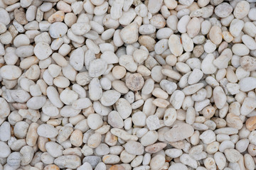 Beautiful smooth white pebbles for background and texture.