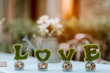 Letters and trees accompanying the word love on a blurred green background For Valentine's Day greeting cards Font design for printing cards
