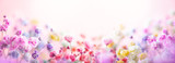 Spring floral composition made of fresh colorful flowers on light pastel background. Festive flower concept with copy space. Spring floral composition made of fresh colorful flowers on light pastel background. Festive flower concept with copy space.