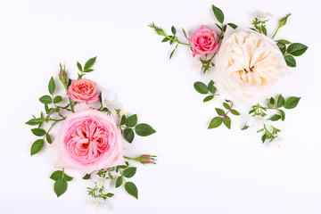 Canvas Print - Beautiful pink and white roses flowers with leaves