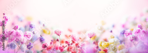Cuadros en Lienzo Spring floral composition made of fresh colorful flowers on light pastel background