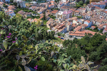 Wall Mural - Prickly pears on a massif frock above Old Town of Cefalu city on Sicily Island in Italy