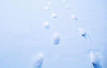 Feet prints on the White deep snow background. Top view. Two people foot marks on a snow. 