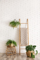 Poster - Beautiful green potted plants in stylish room interior