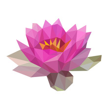 Colourful Polygonal Style Design Of Pink Lotus Flower