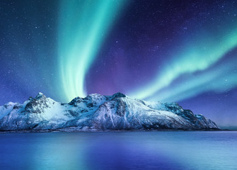 Wall Mural - aurora borealis, lofoten islands, norway. northen lights, mountains and reflection on the water. win
