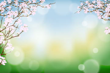 Naklejka na meble Branches of cherry spring flower blooming on burry bokeh background, Spring background with cherry blossom border and blurry light effect.Template banner for Easter or Spring