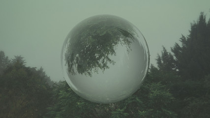 fantasy landscape or tree landscape in sphere glass 3d illustration