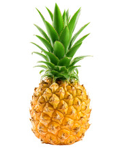 Pineapple Isolated On White Background, Clipping Path, Full Depth Of Field