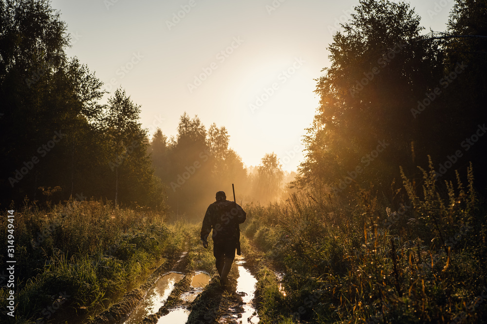Summer hunting at sunrise. Hunter moving With Shotgun and Looking For Prey. - obrazy, fototapety, plakaty 