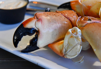 Florida stone crab claws on plate