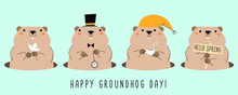  Happy Groundhog Day. Card With Four Cute Groundhogs. Design For Print Greetings Card, Banner, Poster. Vector Illustrations.