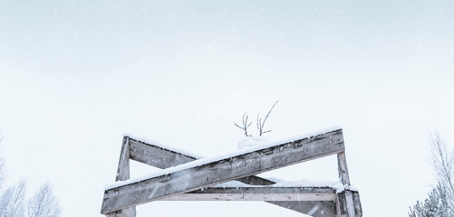 Wall Mural - Head of snow deer on top of wooden bridge. Winter time