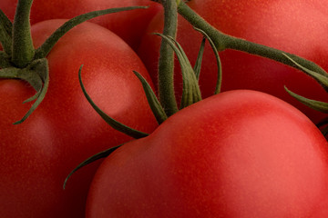  A branch of red ripe fresh tomatoes close-up. Banner, postcard, decoration. Super macro. Healthy food is vegetarianism concept.