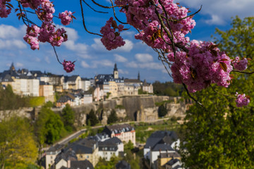 Wall Mural - Luxembourg city cityscape