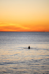 Wall Mural - Surfer in seal beach