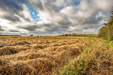 Arable field in the countryside of rural Norfolk