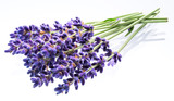 Fototapeta Lawenda - Bunch of lavandula or lavender flowers isolated on white background.