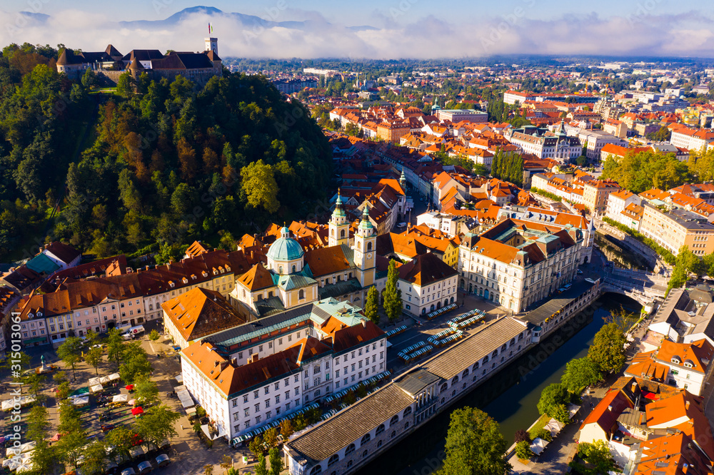 Obraz na płótnie Historical center of Ljubljana with Castle Hill w salonie