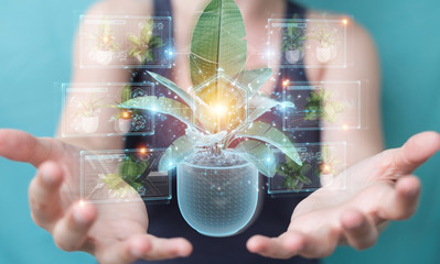 Fototapete - Woman holding and touching holographic projection of a plant with digital analysis 3D rendering