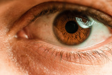 Close Up, Macro Photo Of Human Eye, Iris, Pupil, Eye Lashes, Eye Lids.