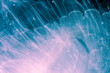 Leinwanddruck Bild - colorful underwater fragile formation, fantasy abstract background, liquid macro photograph