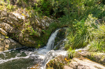 Wall Mural - Beautiful waterfall in the forest with lush green plants and trees