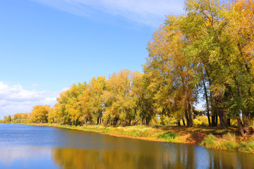 Wall Mural - autumn landscape with river