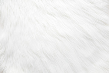 light, white, furry coat background. empty place for text. closeup. top down view.